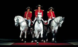 The Lipizzaner Stallions