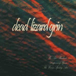 dead lizard grin's “We Are Shadows Dispersing Upon the Warm Spring Air”